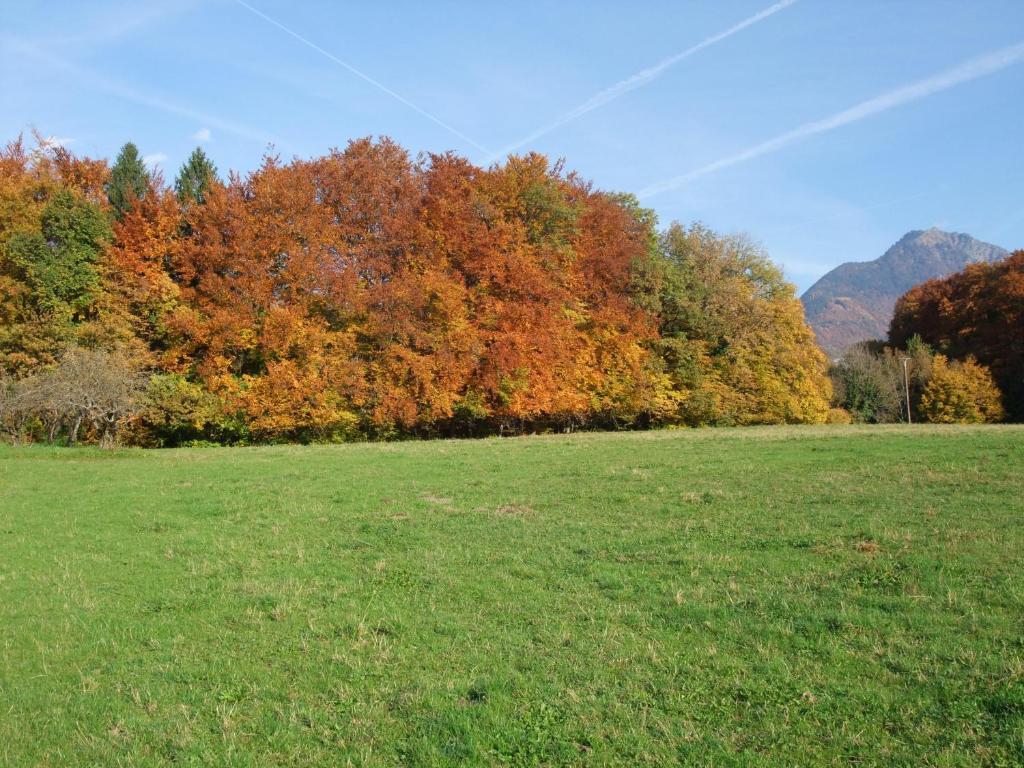 Le Domaine Du Grand Cellier Chambres D'Hotes En Savoie Tournon Ngoại thất bức ảnh