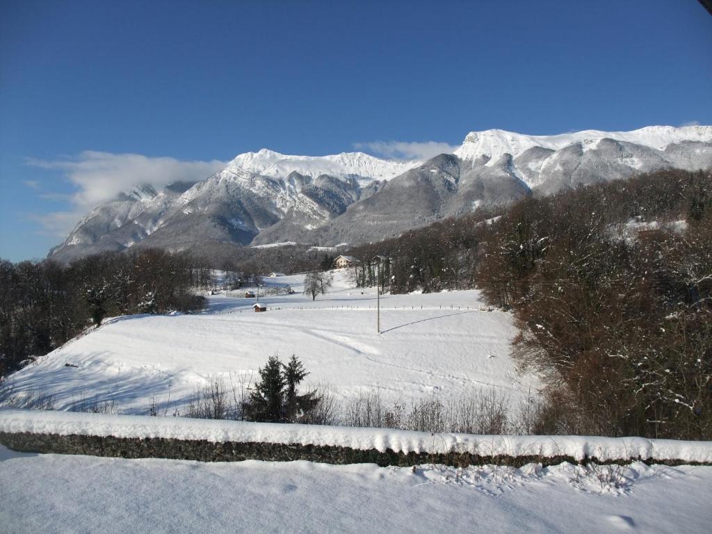 Le Domaine Du Grand Cellier Chambres D'Hotes En Savoie Tournon Ngoại thất bức ảnh